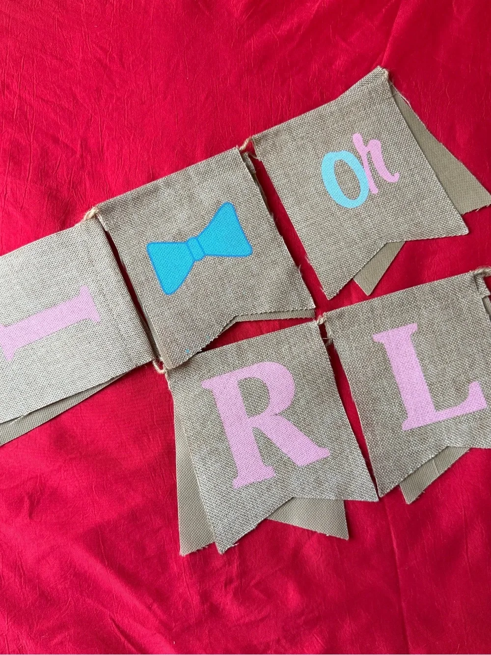 Burlap Gender Reveal Banner with Pink and Blue Accents